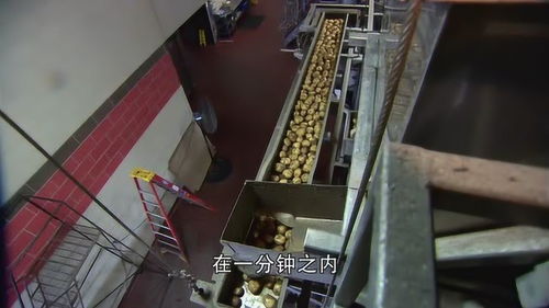 探秘美國(guó)全自動(dòng)薯片工廠 高效流水線下的美味制造