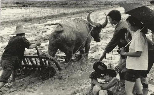 青春祭 沒有什么能夠阻擋，你對美麗的向往